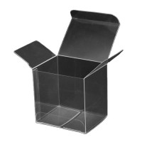 Custom Transparent Clear PVC/PET Plastic Packaging Folding Box